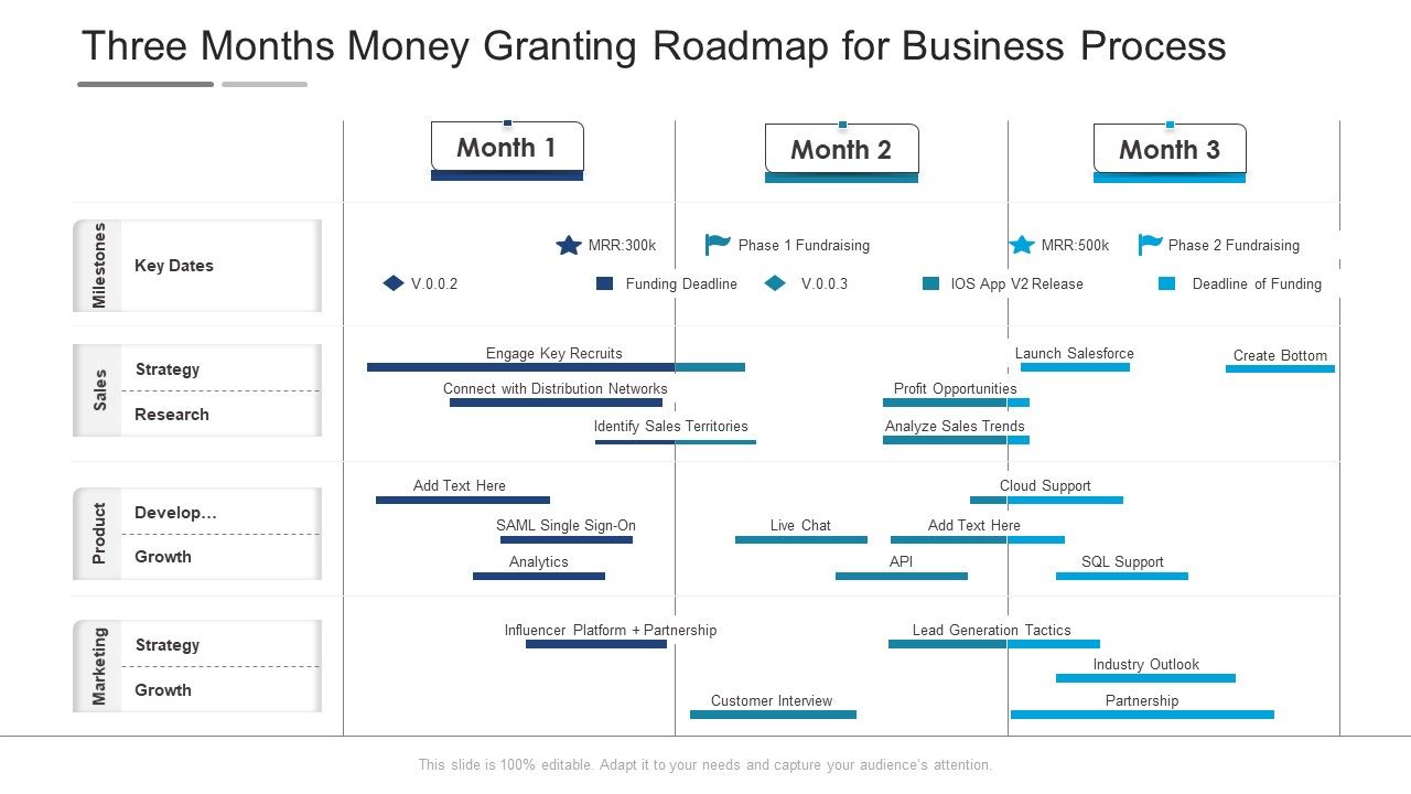 Three_Months_Money_Granting_Roadmap_For_Business_Process_Ideas_Slide_1.jpg