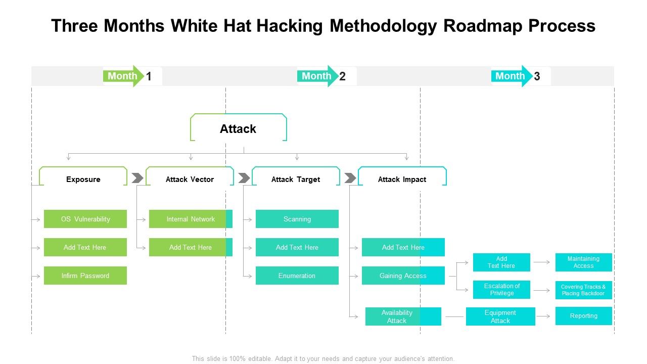 Three_Months_White_Hat_Hacking_Methodology_Roadmap_Process_Professional_Slide_1.jpg