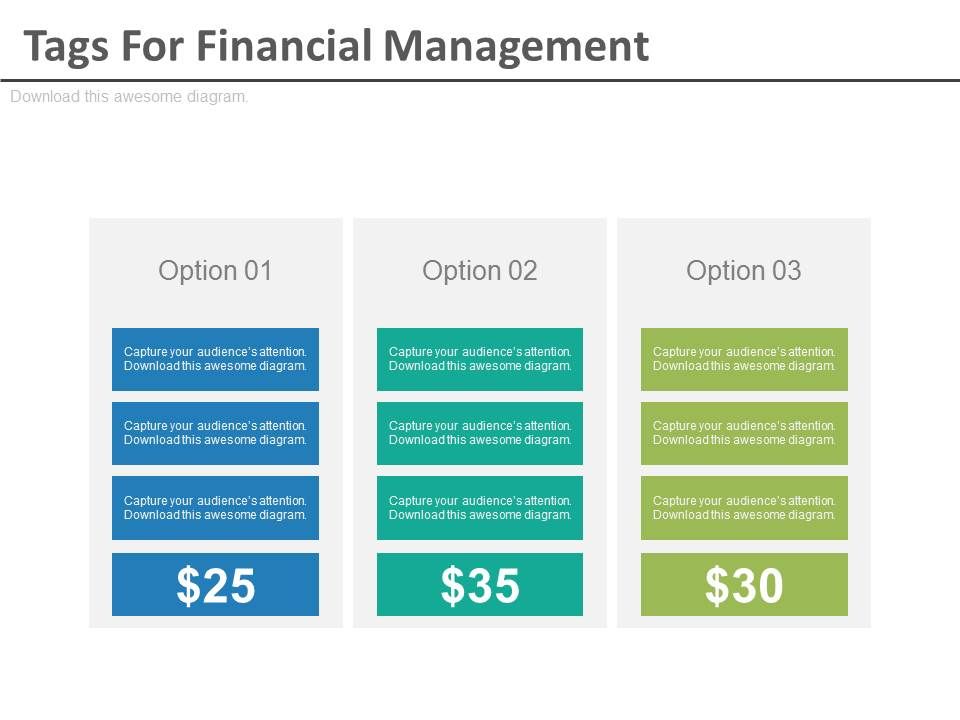 Three_Options_Tags_For_Financial_Management_Powerpoint_Slides_1.jpg