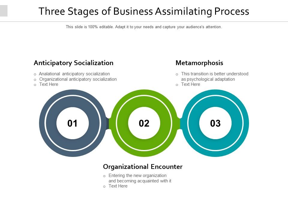 Three_Stages_Of_Business_Assimilating_Process_Ppt_PowerPoint_Presentation_Infographic_Template_Themes_PDF_Slide_1.jpg
