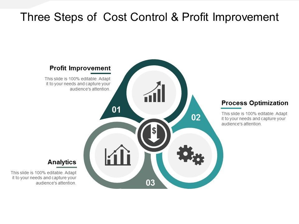 Three_Steps_Of_Cost_Control_And_Profit_Improvement_Ppt_PowerPoint_Presentation_Ideas_Master_Slide_Slide_1.jpg