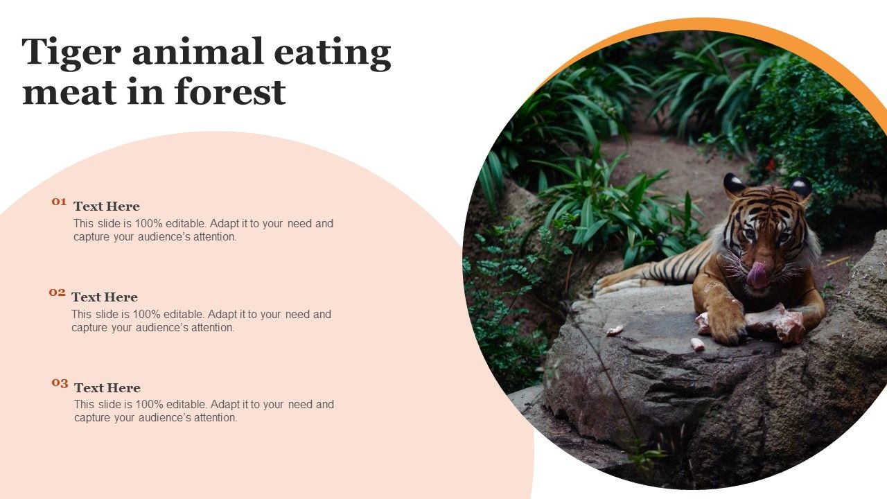 Tiger_Animal_Eating_Meat_In_Forest_Formats_PDF_Slide_1.jpg