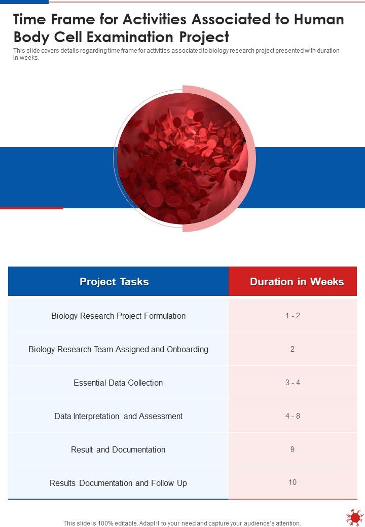 Time Frame For Activities Associated To Human Body Cell Examination Project One Pager Sample Example Document Slide01