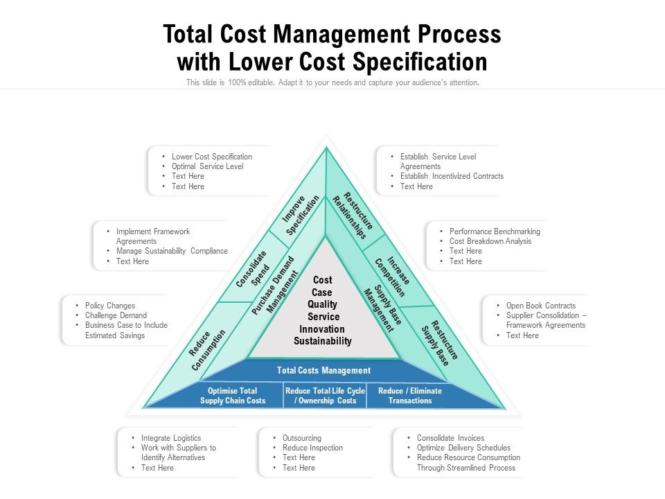 Total_Cost_Management_Process_With_Lower_Cost_Specification_Ppt_PowerPoint_Presentation_Ideas_Demonstration_PDF_Slide_1.jpg