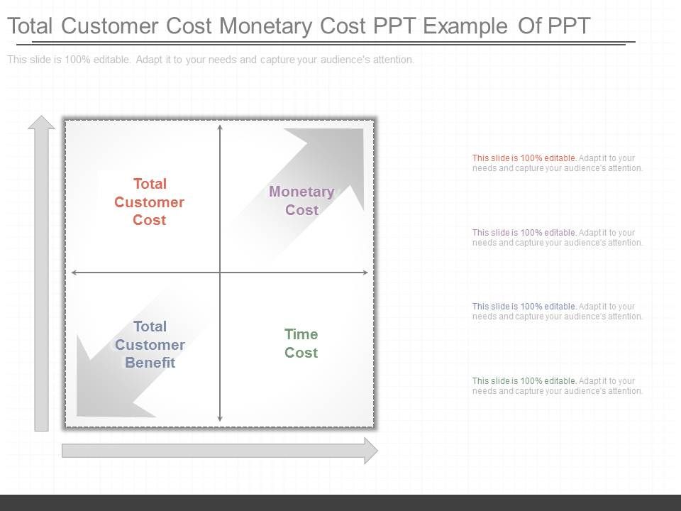 Total_Customer_Cost_Monetary_Cost_Ppt_Example_Of_Ppt_1.jpg
