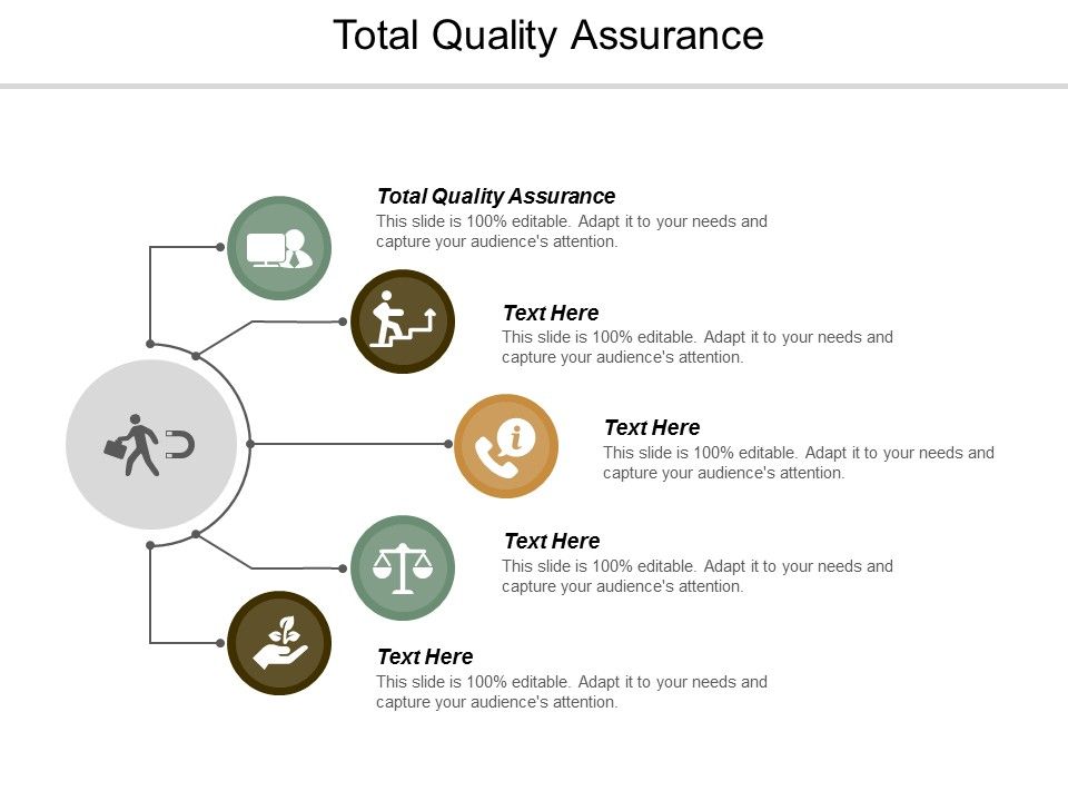 Total_Quality_Assurance_Ppt_PowerPoint_Presentation_Styles_Example_Cpb_Slide_1.jpg