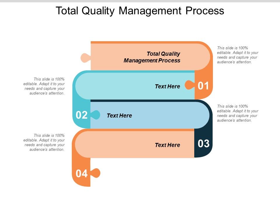 Total_Quality_Management_Process_Ppt_PowerPoint_Presentation_Outline_Styles_Cpb_Slide_1.jpg