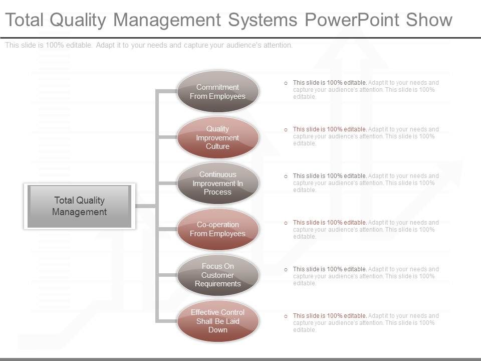 Total_Quality_Management_Systems_Powerpoint_Show_1.jpg