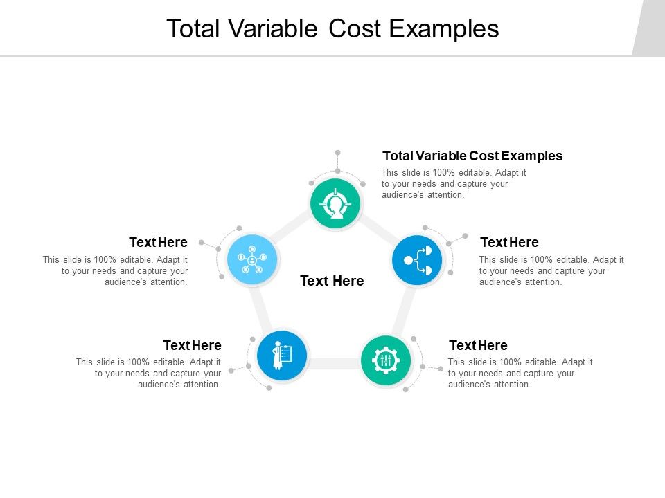 Total_Variable_Cost_Examples_Ppt_PowerPoint_Presentation_Show_Templates_Cpb_Slide_1.jpg