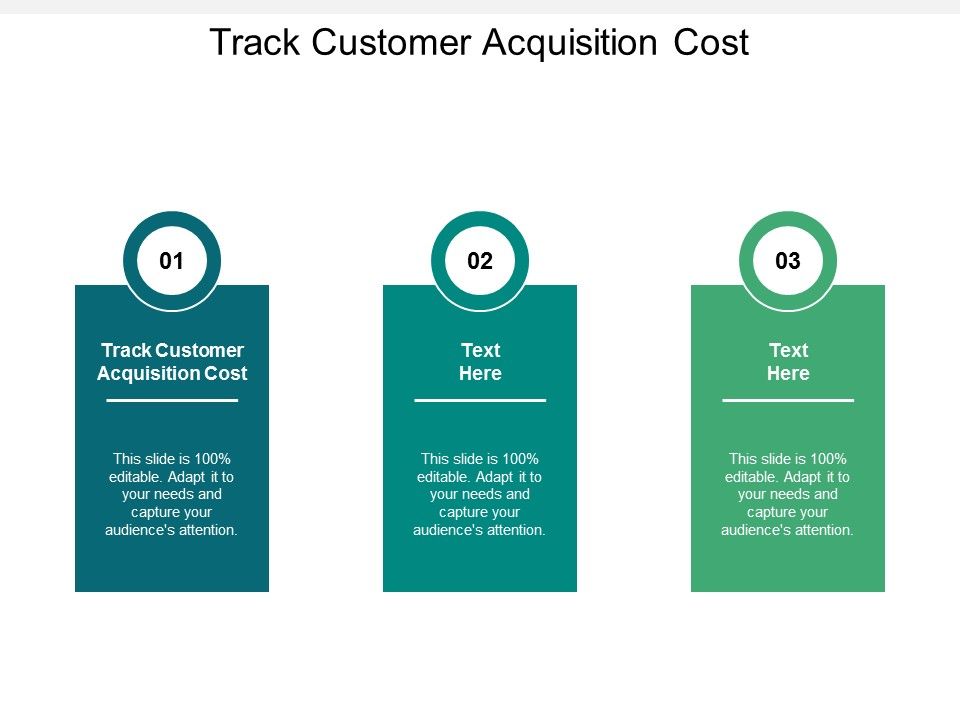 Track_Customer_Acquisition_Cost_Ppt_PowerPoint_Presentation_Infographic_Template_Gridlines_Cpb_Slide_1.jpg