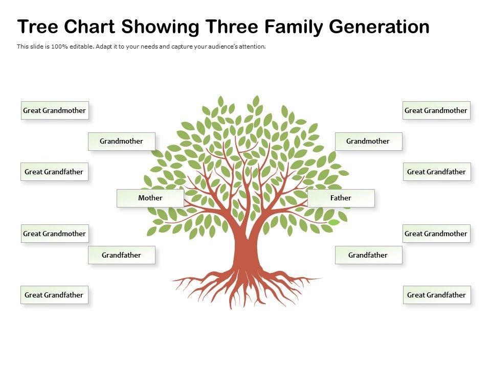Tree_Chart_Showing_Three_Family_Generation_Ppt_PowerPoint_Presentation_File_Elements_PDF_Slide_1.jpg