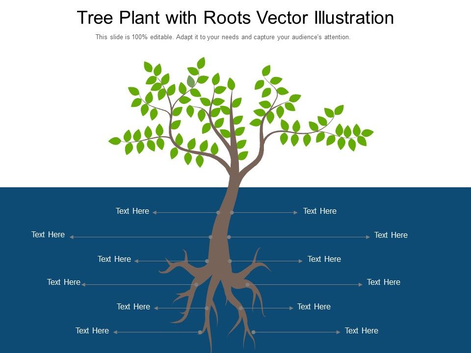 Tree_Plant_With_Roots_Vector_Illustration_Ppt_PowerPoint_Presentation_Gallery_Slide_Download_PDF_Slide_1.jpg