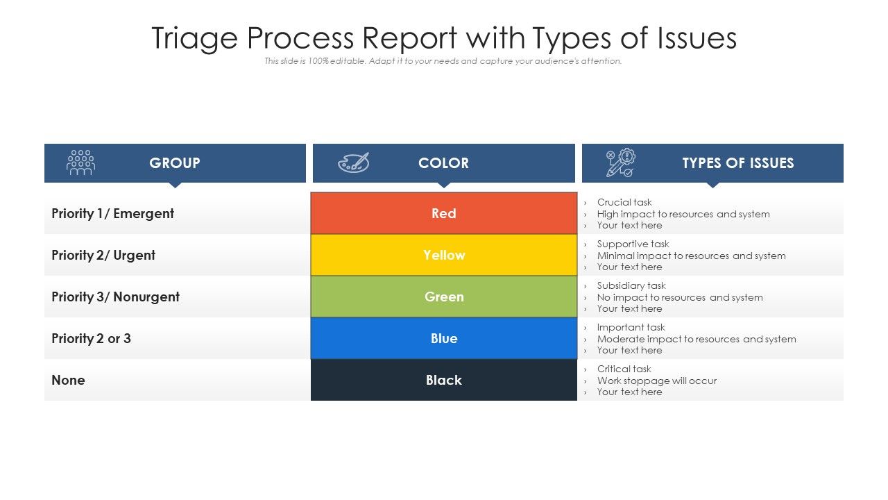 Triage_Process_Report_With_Types_Of_Issues_Ppt_PowerPoint_Presentation_Diagram_Ppt_PDF_Slide_1.jpg