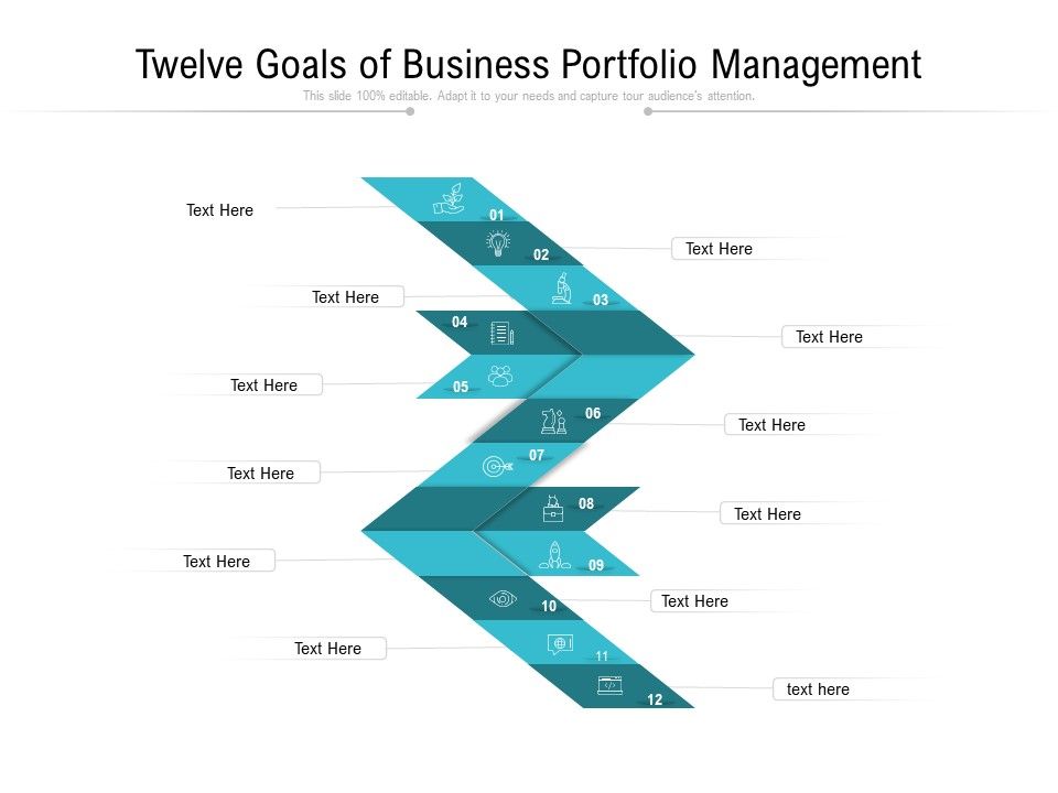 Twelve_Goals_Of_Business_Portfolio_Management_Ppt_PowerPoint_Presentation_Gallery_Show_PDF_Slide_1.jpg