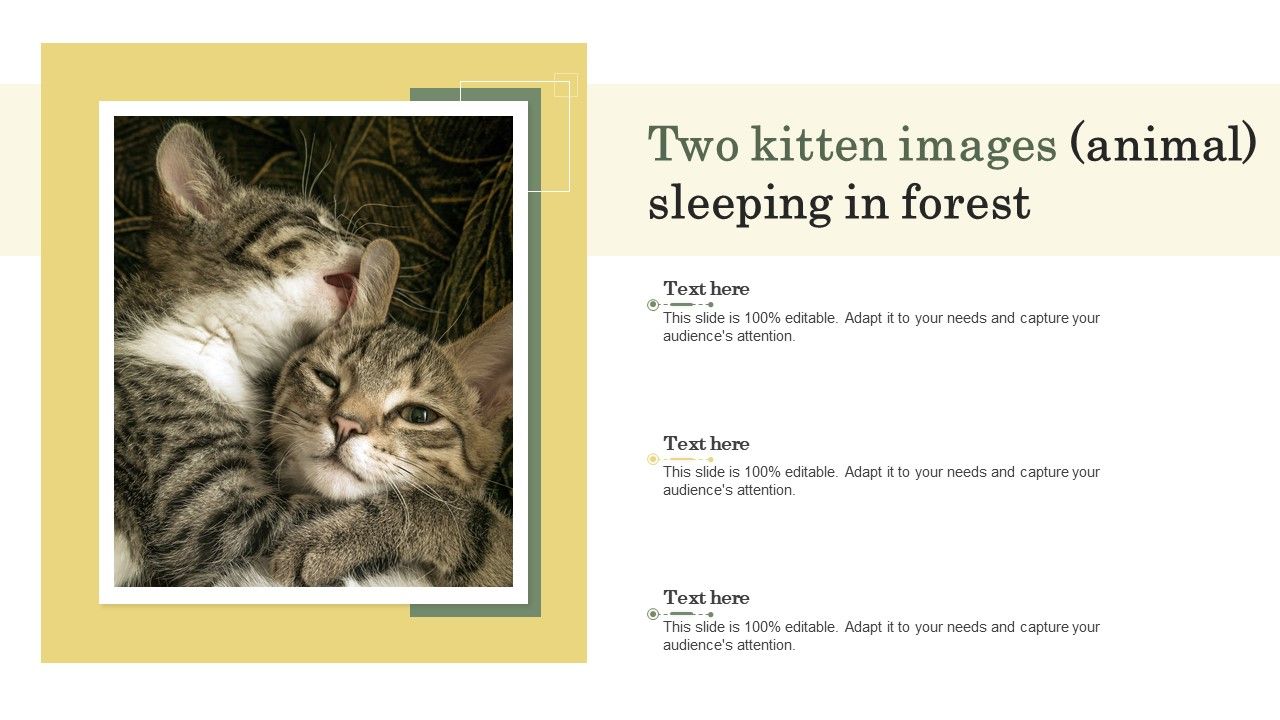 Two_Kitten_Images_Animal_Sleeping_In_Forest_Ppt_PowerPoint_Presentation_Gallery_Brochure_PDF_Slide_1.jpg