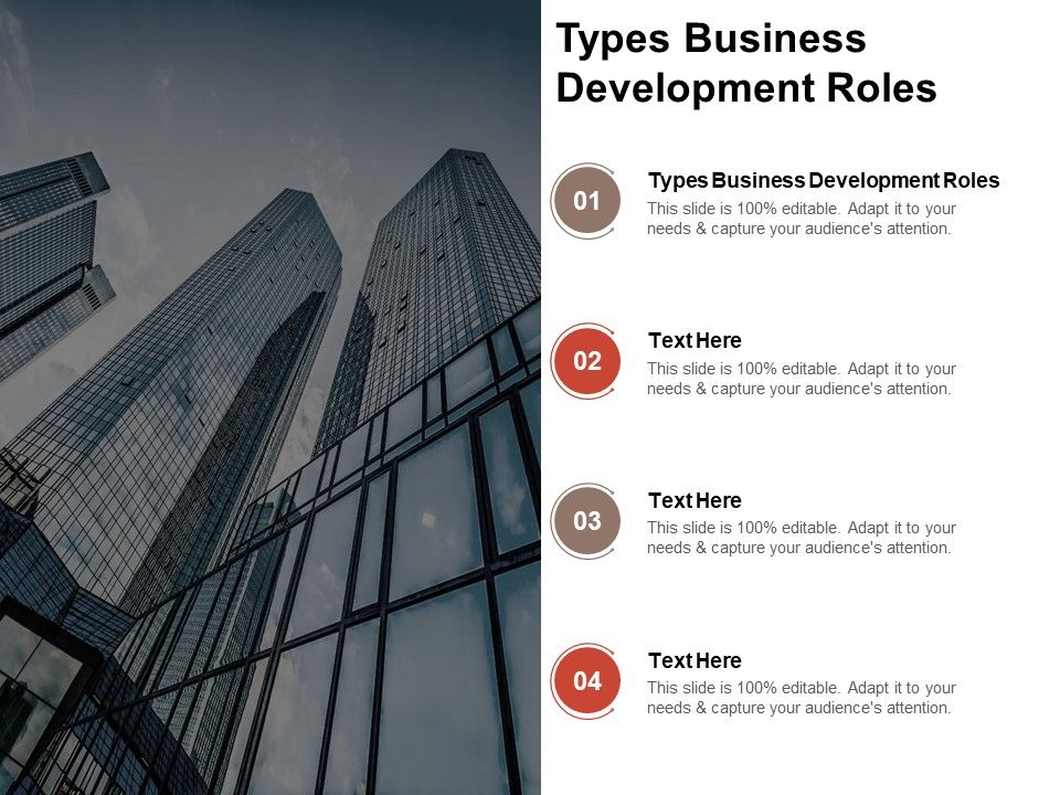 Types_Business_Development_Roles_Ppt_PowerPoint_Presentation_Pictures_Guide_Cpb_Pdf_Slide_1.jpg