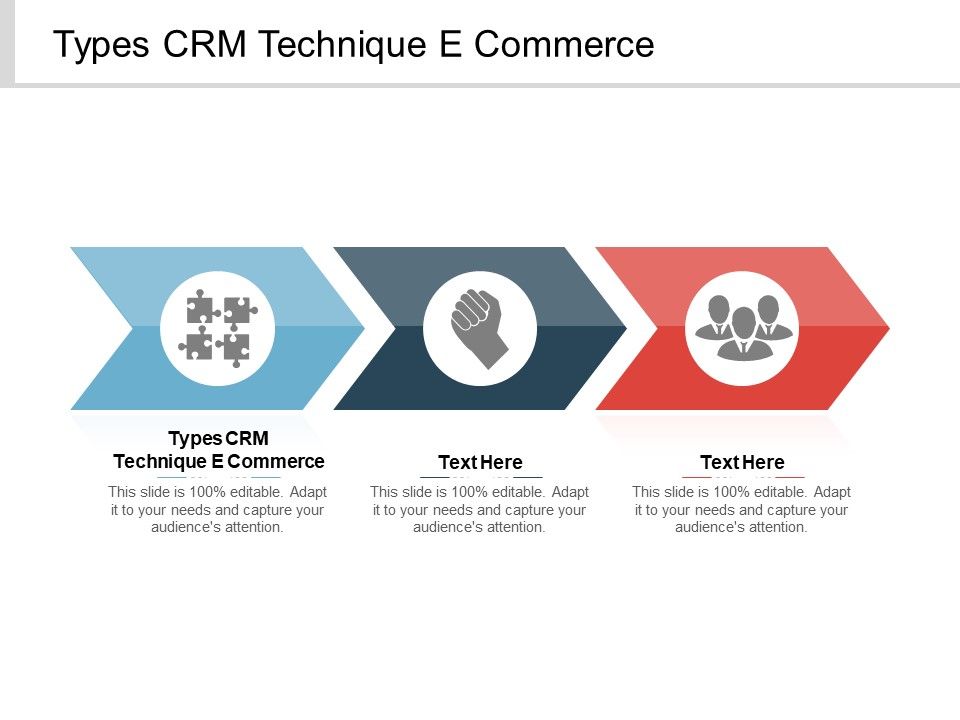 Types_CRM_Technique_E_Commerce_Ppt_PowerPoint_Presentation_Infographic_Template_Infographic_Template_Cpb_Slide_1.jpg