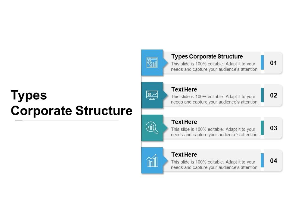 Types_Corporate_Structure_Ppt_PowerPoint_Presentation_Professional_Summary_Cpb_Slide_1.jpg