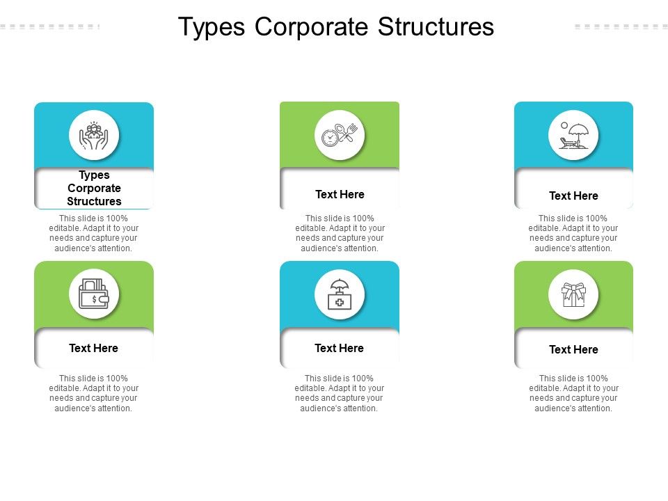 Types_Corporate_Structures_Ppt_PowerPoint_Presentation_Model_Diagrams_Cpb_Pdf_Slide_1.jpg
