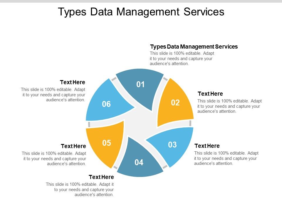 Types_Data_Management_Services_Ppt_PowerPoint_Presentation_Outline_Graphics_Template_Cpb_Pdf_Slide_1.jpg