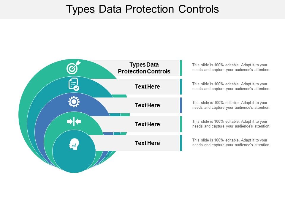 Types_Data_Protection_Controls_Ppt_PowerPoint_Presentation_Ideas_Summary_Cpb_Pdf_Slide_1.jpg