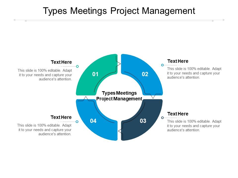 Types_Meetings_Project_Management_Ppt_PowerPoint_Presentation_Infographics_Example_Introduction_Cpb_Pdf_Slide_1.jpg