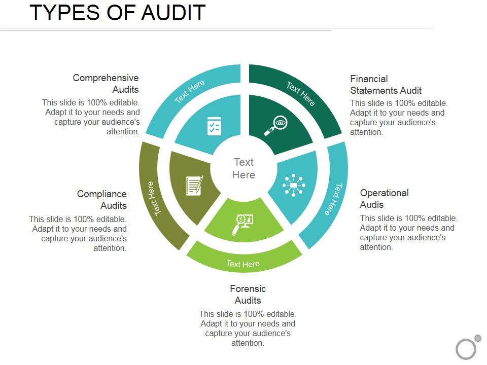 Types_Of_Audit_Ppt_PowerPoint_Presentation_Inspiration_Model_Slide_1.jpg