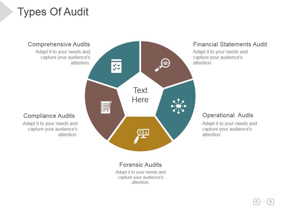 Types_Of_Audit_Ppt_PowerPoint_Presentation_Show_Slide_1.jpg