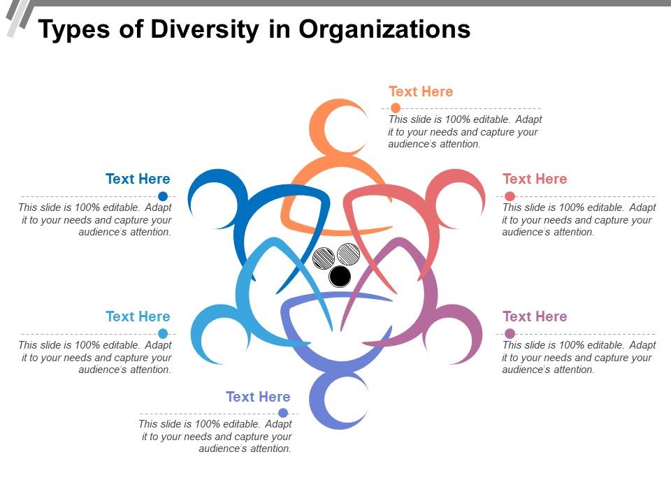 Types_Of_Diversity_In_Organizations_Ppt_PowerPoint_Presentation_Slides_Backgrounds_PDF_Slide_1.jpg