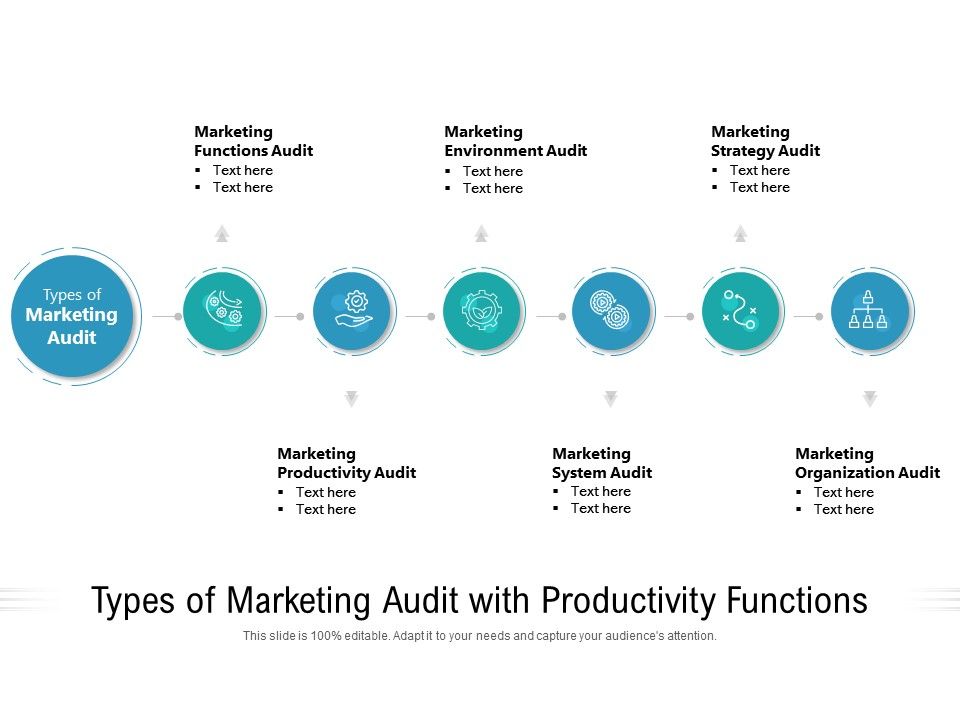 Types_Of_Marketing_Audit_With_Productivity_Functions_Ppt_PowerPoint_Presentation_File_Template_PDF_Slide_1.jpg