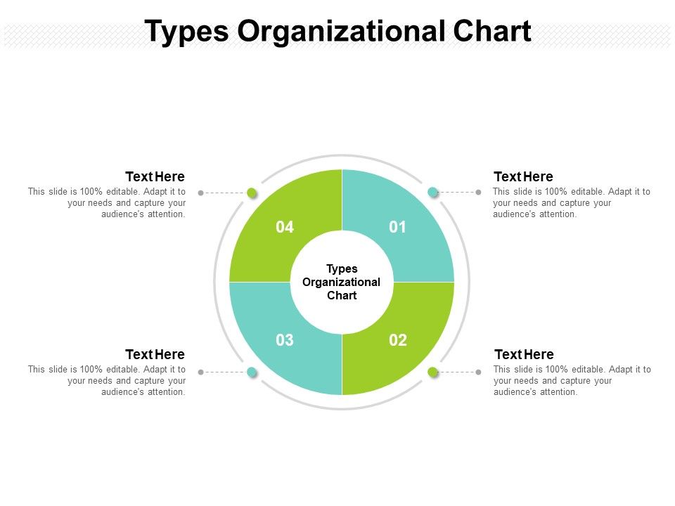 Types_Organizational_Chart_Ppt_PowerPoint_Presentation_Show_Cpb_Slide_1.jpg