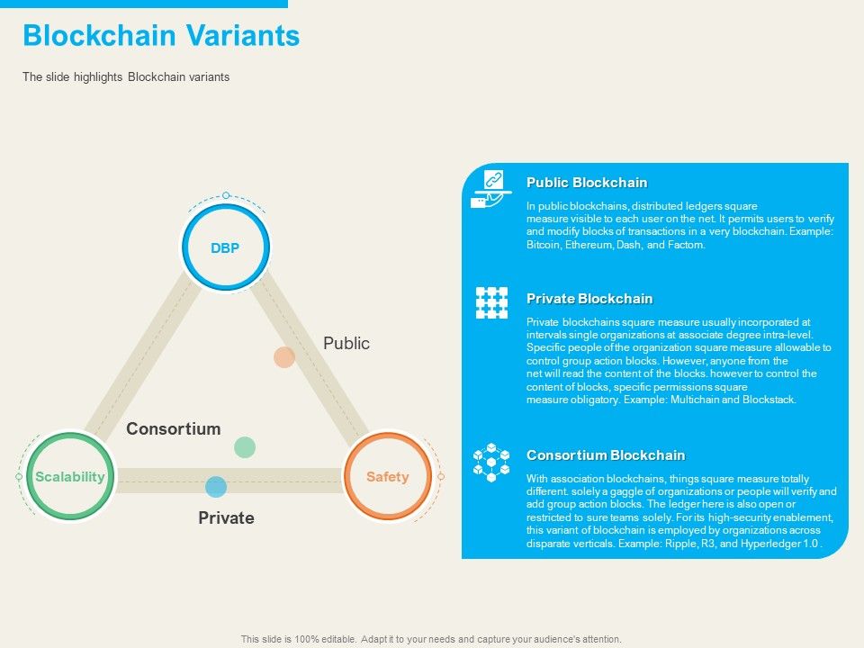 Understanding_Blockchain_Basics_Use_Cases_Blockchain_Variants_Ppt_Portfolio_Summary_PDF_Slide_1.jpg