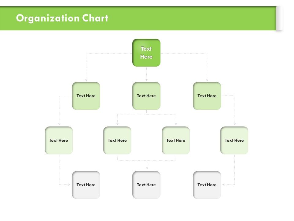 Understanding_Organizational_Structures_Organization_Chart_Ppt_Pictures_Microsoft_PDF_Slide_1.jpg