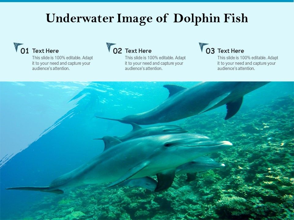 Underwater_Image_Of_Dolphin_Fish_Ppt_PowerPoint_Presentation_Gallery_Deck_PDF_Slide_1.jpg