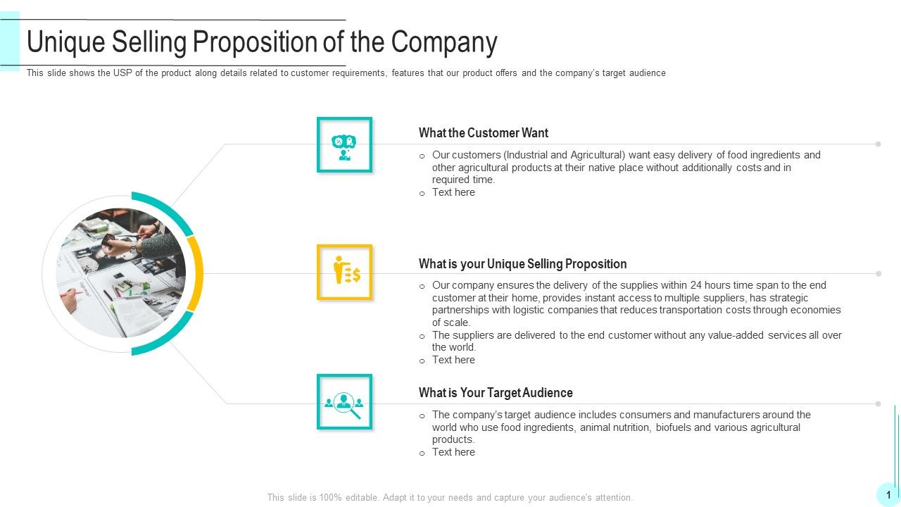 Unique_Selling_Proposition_Of_The_Company_Summary_PDF_Slide_1.jpg