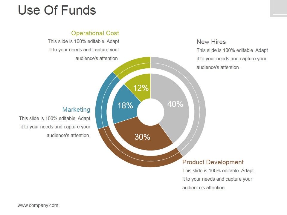 Use_Of_Funds_Ppt_PowerPoint_Presentation_Example_2015_Slide_1.jpg