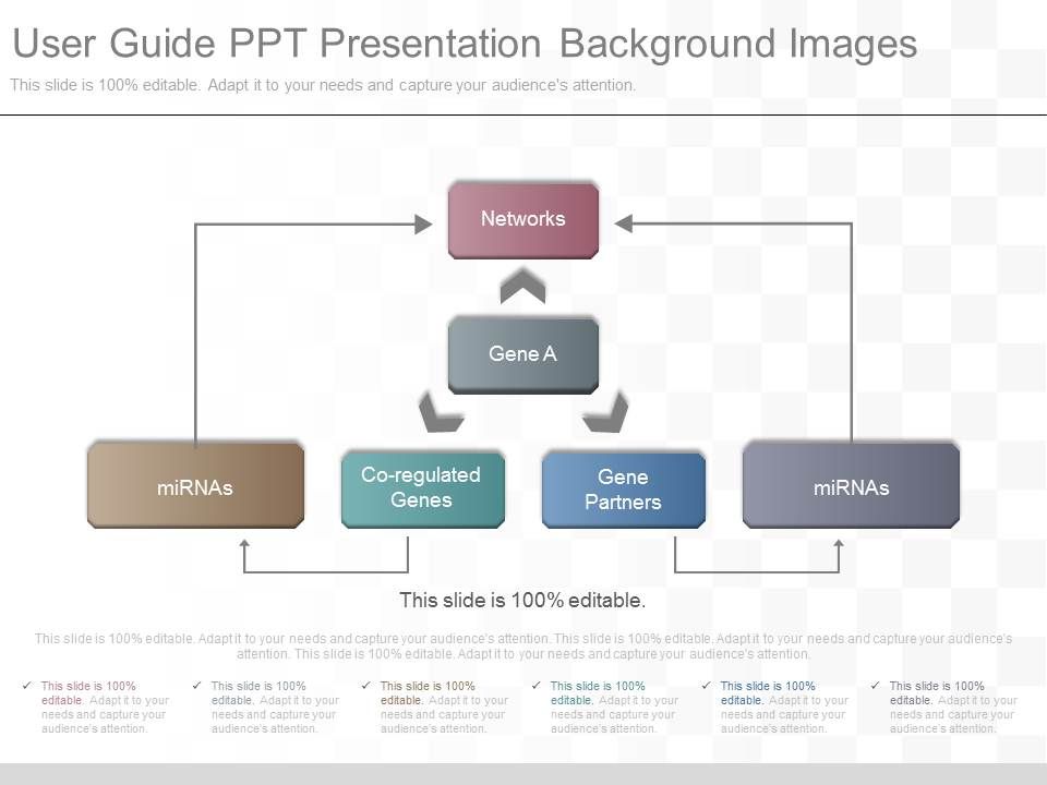 User_Guide_Ppt_Presentation_Background_Images_1.jpg