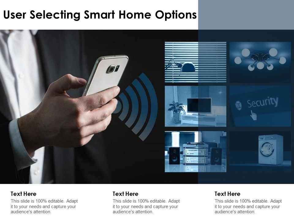 User_Selecting_Smart_Home_Options_Ppt_PowerPoint_Presentation_Infographics_Example_Topics_PDF_Slide_1.jpg