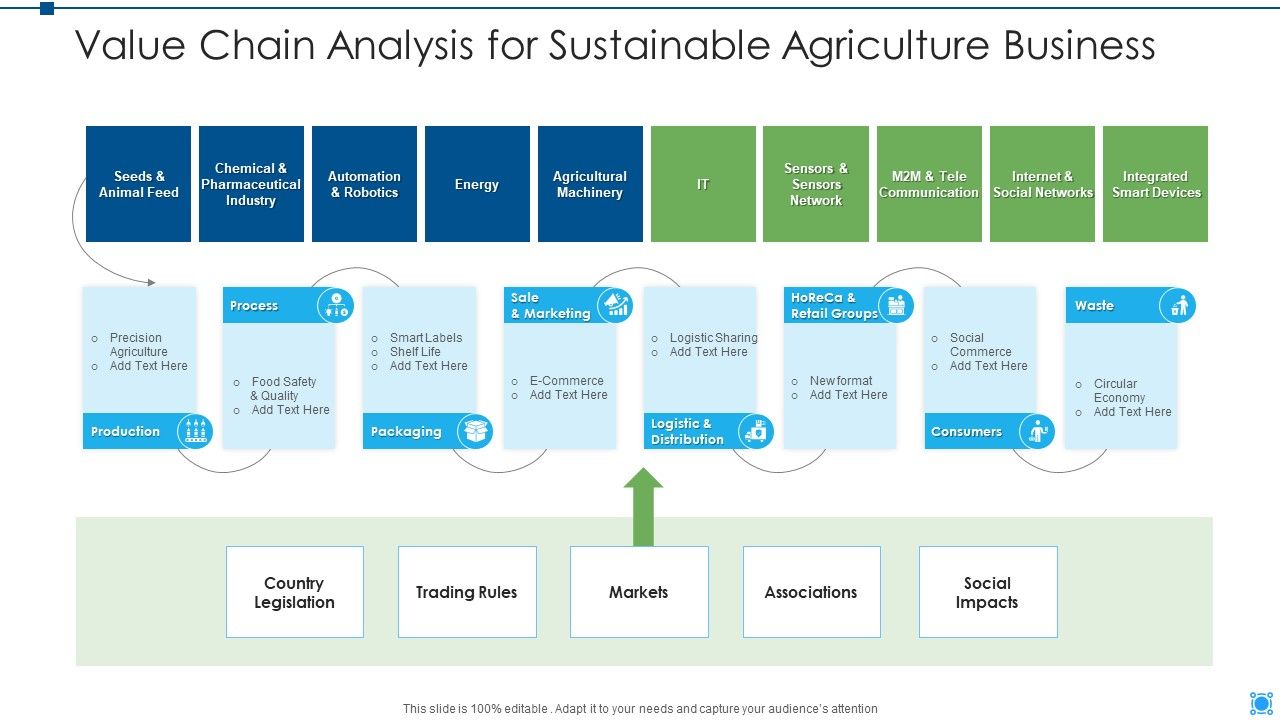 Value_Chain_Analysis_For_Sustainable_Agriculture_Business_Summary_PDF_Slide_1.jpg