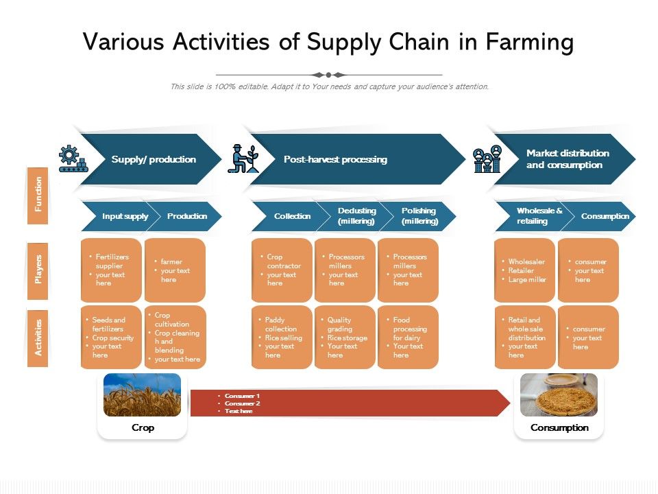 Various_Activities_Of_Supply_Chain_In_Farming_Ppt_PowerPoint_Presentation_Ideas_Show_PDF_Slide_1.jpg