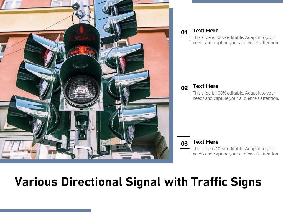 Various_Directional_Signal_With_Traffic_Signs_Ppt_PowerPoint_Presentation_Show_Inspiration_PDF_Slide_1.jpg