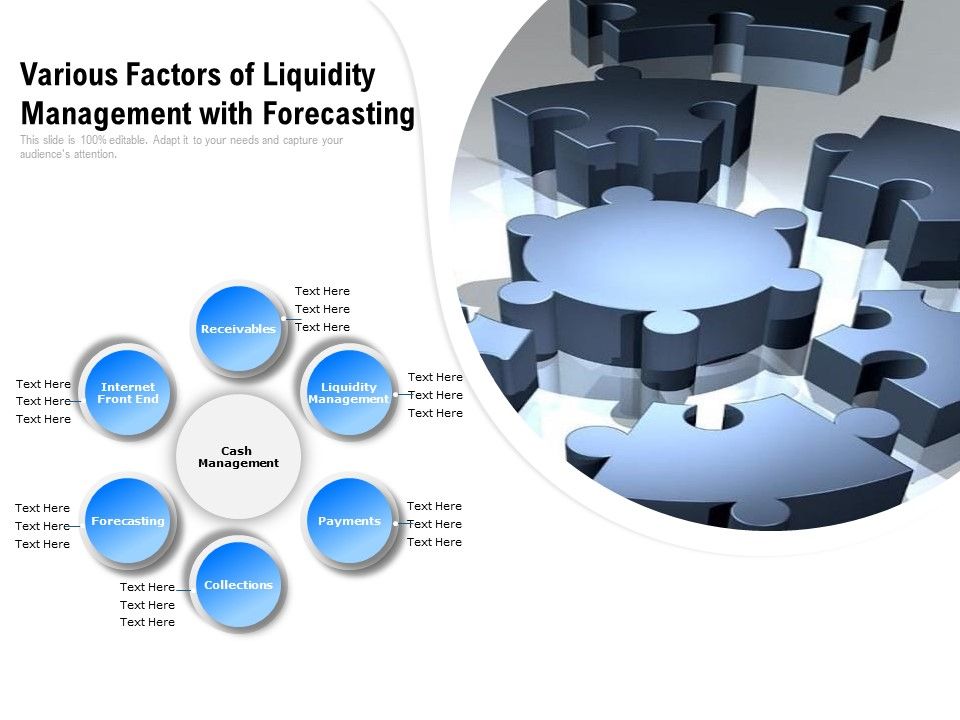 Various_Factors_Of_Liquidity_Management_With_Forecasting_Ppt_PowerPoint_Presentation_Gallery_Slide_Portrait_PDF_Slide_1.jpg