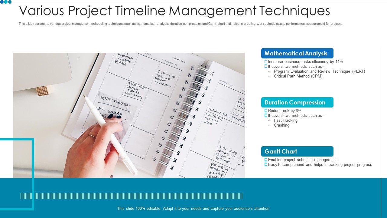 Various_Project_Timeline_Management_Techniques_Professional_PDF_Slide_1.jpg