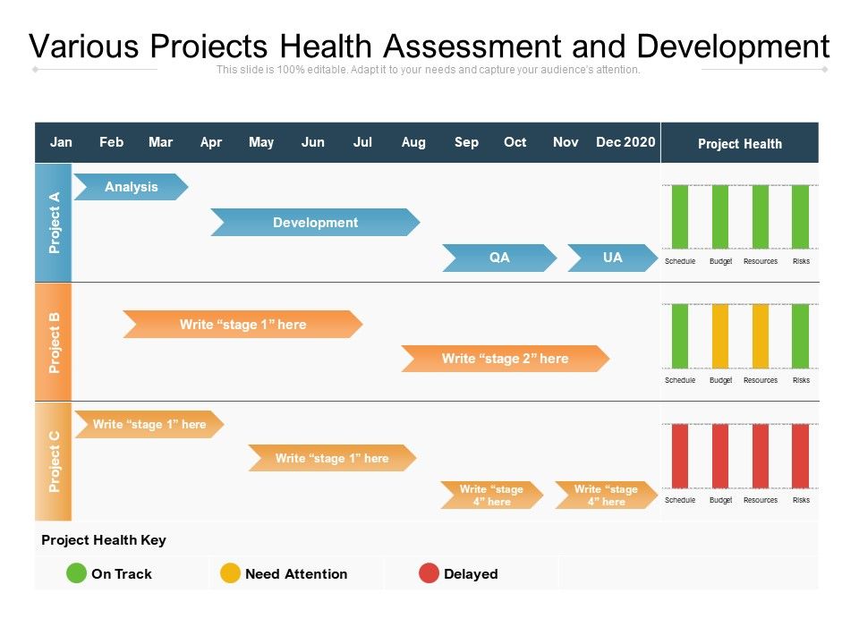 Various_Projects_Health_Assessment_And_Development_Ppt_PowerPoint_Presentation_Portfolio_Inspiration_PDF_Slide_1.jpg