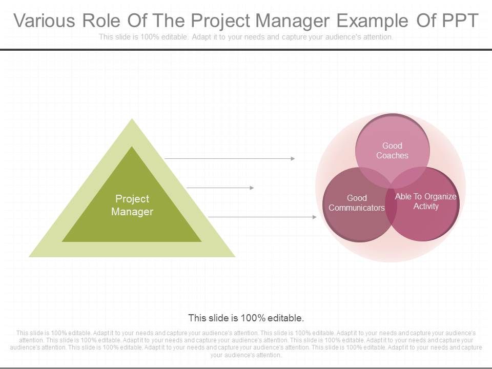 Various_Role_Of_The_Project_Manager_Example_Of_Ppt_1.jpg