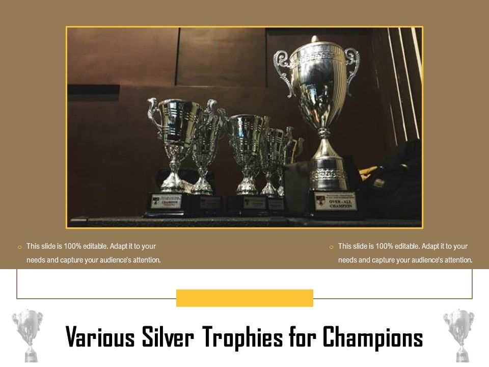 Various_Silver_Trophies_For_Champions_Ppt_PowerPoint_Presentation_Layouts_Maker_PDF_Slide_1.jpg