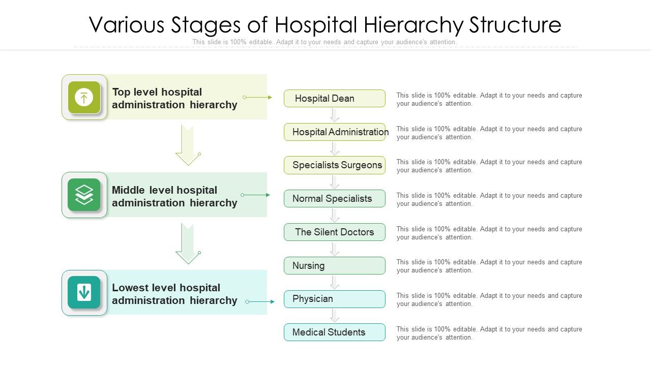 Various_Stages_Of_Hospital_Hierarchy_Structure_Rules_PDF_Slide_1.jpg