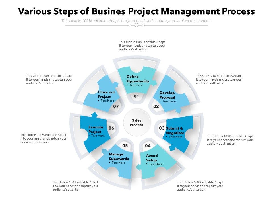 Various_Steps_Of_Busines_Project_Management_Process_Ppt_PowerPoint_Presentation_Infographics_Designs_PDF_Slide_1.jpg