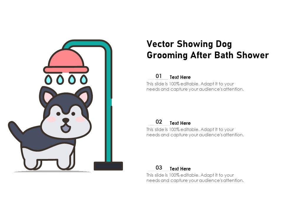 Vector_Showing_Dog_Grooming_After_Bath_Shower_Ppt_PowerPoint_Presentation_Gallery_Graphics_Design_PDF_Slide_1.jpg