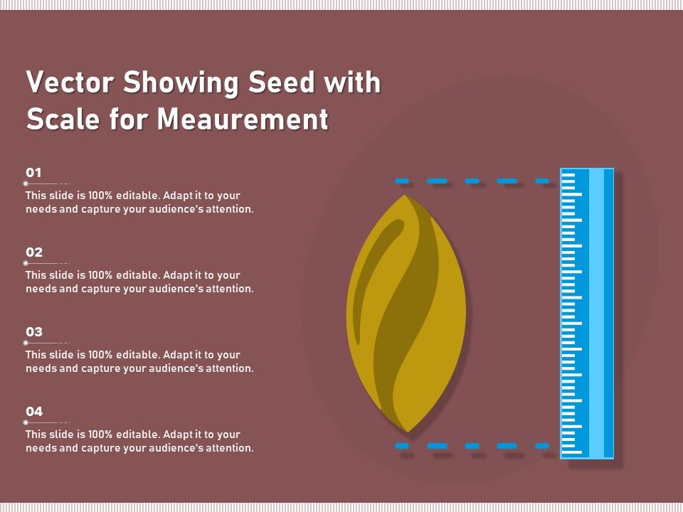 Vector_Showing_Seed_With_Scale_For_Meaurement_Ppt_PowerPoint_Presentation_Inspiration_Slide_Portrait_PDF_Slide_1.jpg